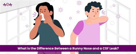 csf vs mucus|CSF Leak vs. Runny Nose: How to Tell the Difference